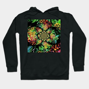 Stocksom Foliage 2- Fractal Hoodie